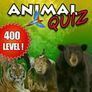 Quiz Animal