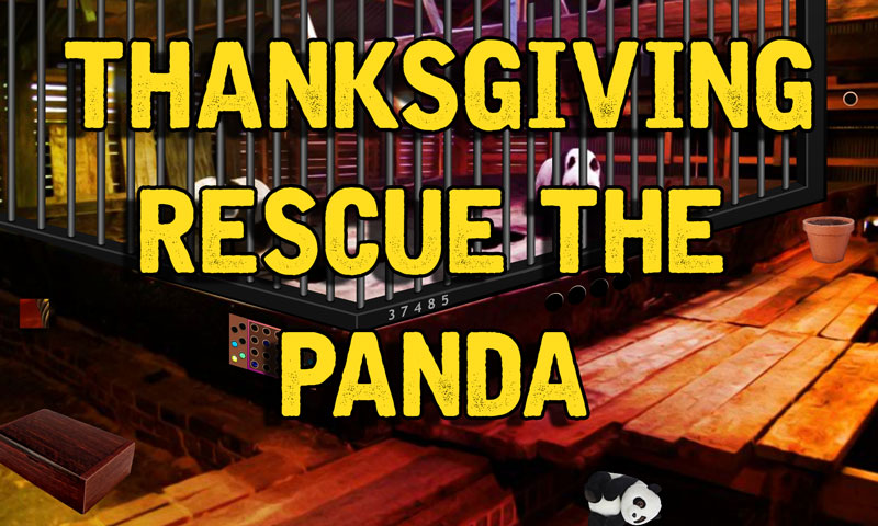 Thanksgiving Sauver Le Panda