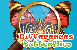 Différences Papillons