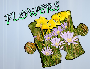 Puzzle: Fleurs
