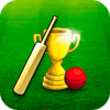 Championnat De Cricket