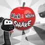 Le Noir Et Le Serpent Blanc