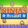 Les Ninjas Dand#8217;Assaut