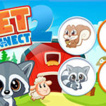 Pet Connect 2